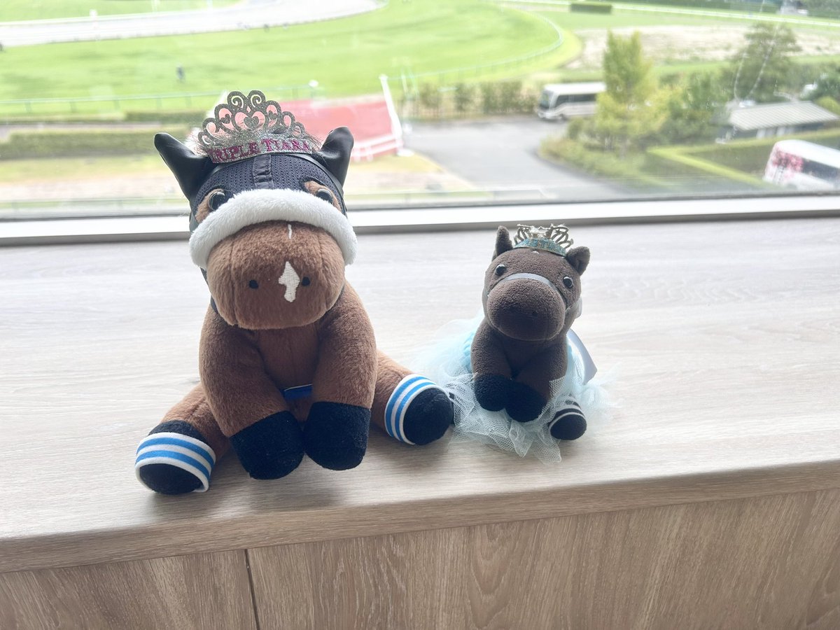 きるしぇ🥕 (@Kirsche0216) / Posts / X