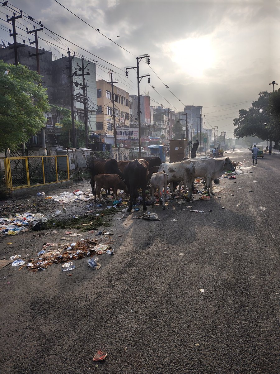 Krishna55126939's tweet image. #SwachhataAbhiyan has miserably failed to travel even 30km from seat of #PMHouse. State of affairs at #fortune500 #smartcityNoida sector 62. #DMNooida