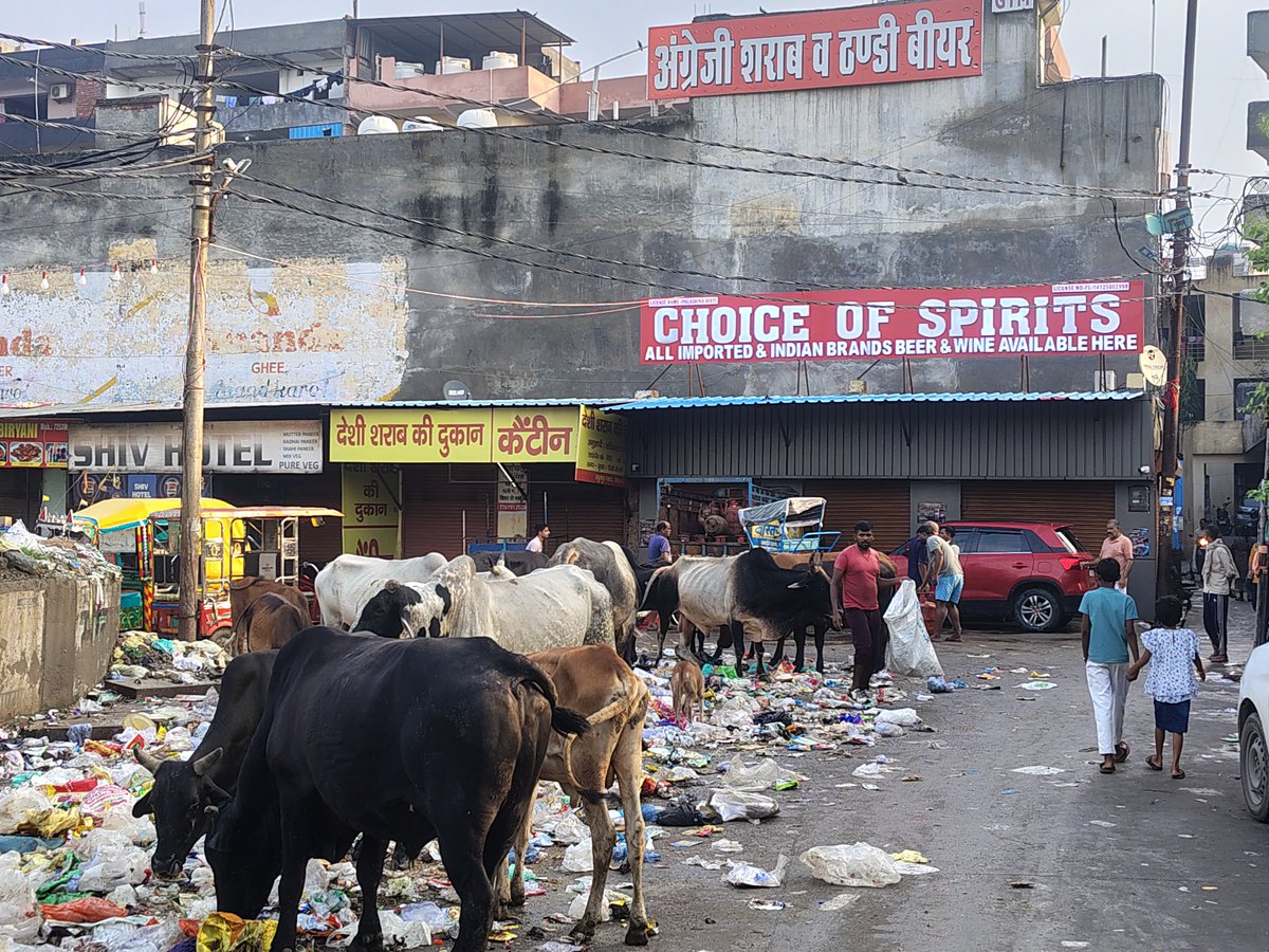 Krishna55126939's tweet image. #SwachhataAbhiyan has miserably failed to travel even 30km from seat of #PMHouse. State of affairs at #fortune500 #smartcityNoida sector 62. #DMNooida