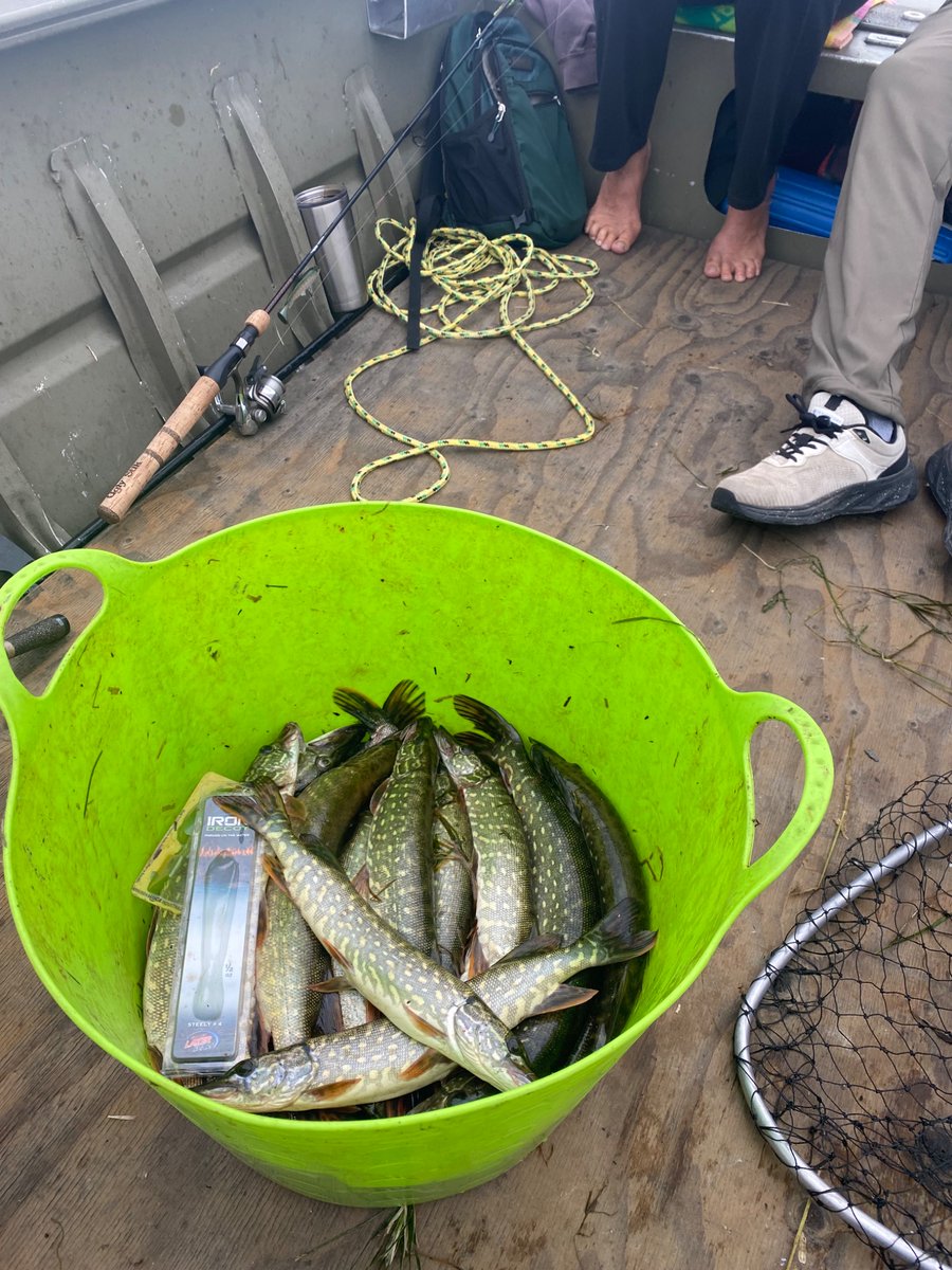 Big Lake pike derby today.  Our team landed 35 and tied for first in the ‘most fish caught’ category!