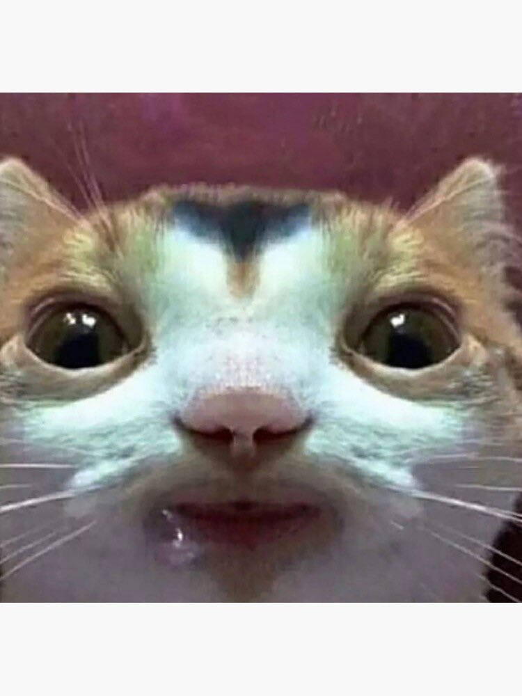 Spot the difference… <a href="/jazminestarrr/">jazmine˚⁠☆˳⁠°</a>