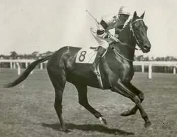 HORSERACING1002's tweet photo. YATASTO🇦🇷 1948
(SELIM HASSAN-YUCCA POR CONGREVE )
#Yatasto https://t.co/dryHnAmFq0