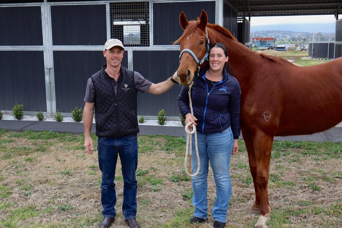 Welcoming old friends today Concocted the first Valiant Stud foal <a href="/inglis_sales/">Inglis</a> Easter grad It’s great to see him so well cared for
Raced by <a href="/Chinahorseclub/">China Horse Club</a> and <a href="/NewgateFarm/">Newgate</a> for <a href="/GaiWaterhouse1/">Gai Waterhouse AO</a> and later <a href="/NathanDoyle015/">Nathan Doyle</a> <a href="/YulongInvest/">Yulong Investments</a> <a href="/BreednetNews/">Breednet</a> <a href="/mmsnippets/">Magic Millions</a>