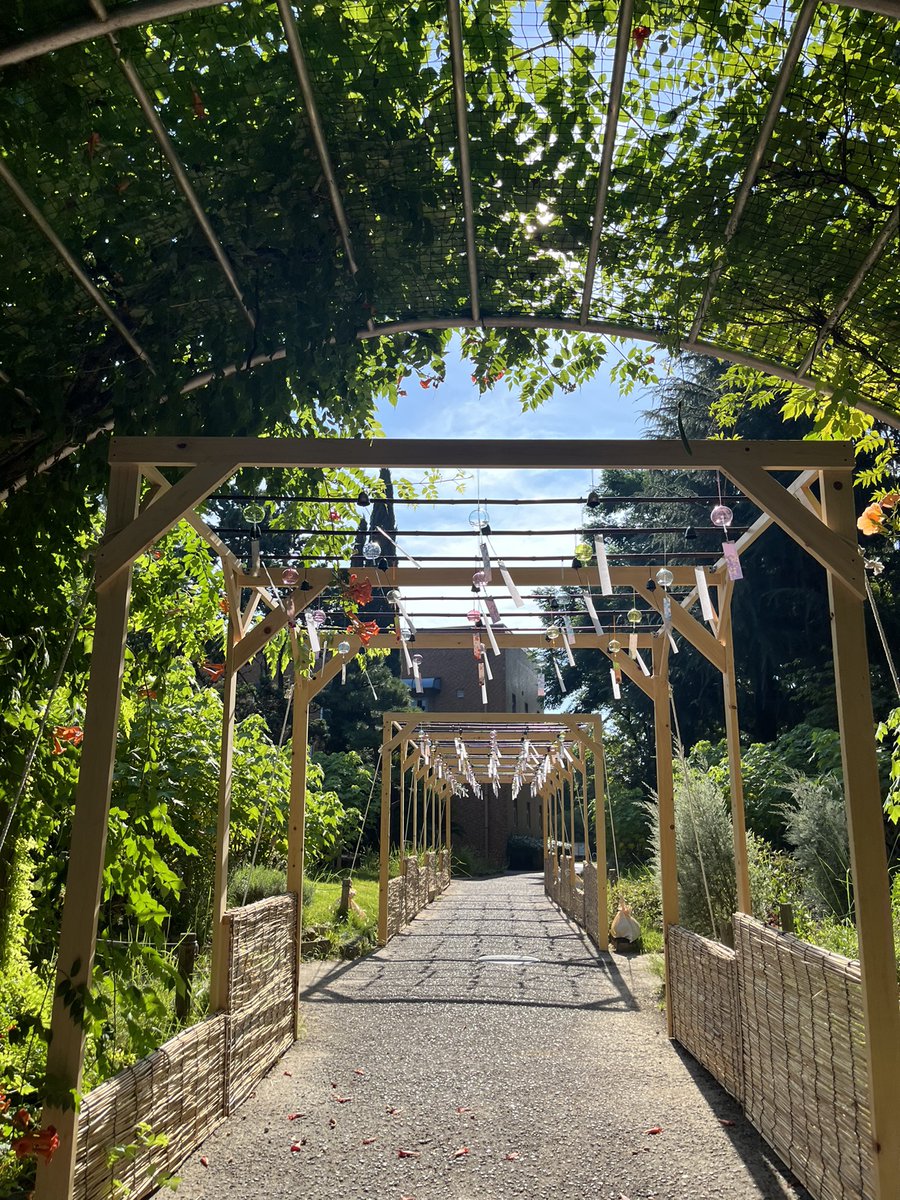 tsurumapark's tweet image. 鶴舞公園では現在、
緑化センター西側に、風鈴フォトスポットを設置しております🎐

時間帯によって光のさし加減が異なり、違う雰囲気が味わえます✨

暑い日が続きますが、
ぜひ風鈴の音で癒されると共に、
素敵な写真を収めてみてください☺️

#鶴舞公園
#風鈴
#フォトスポット
#夏