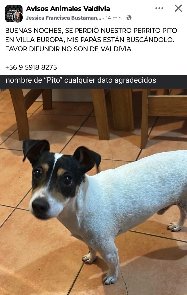 Glena Riquelme tweet media