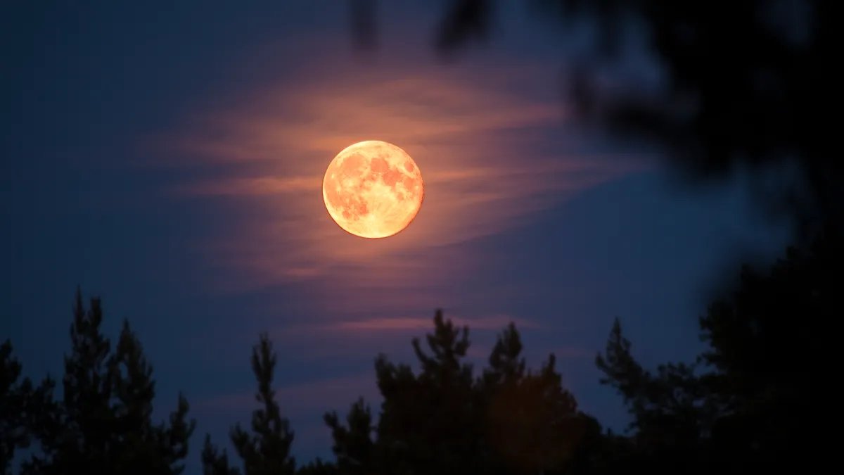 AmyCPhotos's tweet image. If you missed the full moon last night, go outside and look at it tonight.
Still really bright and beautiful !!