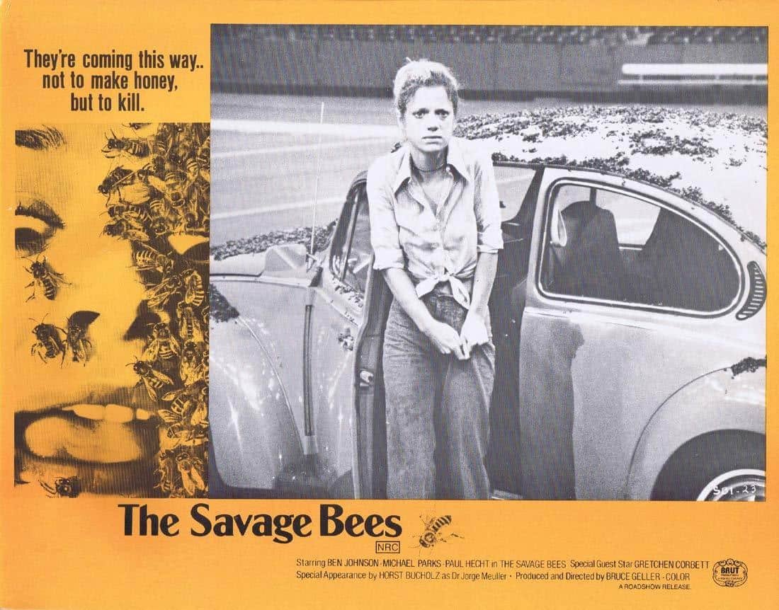 soulrideblog's tweet image. Tonight's Drive-In Movie 🌙🍿🐝
The Savage Bees (1976)
Starring Ben Johnson
Michael Parks
Gretchen Corbett
James Best
and Horst Buchholz
Dir: Bruce Geller