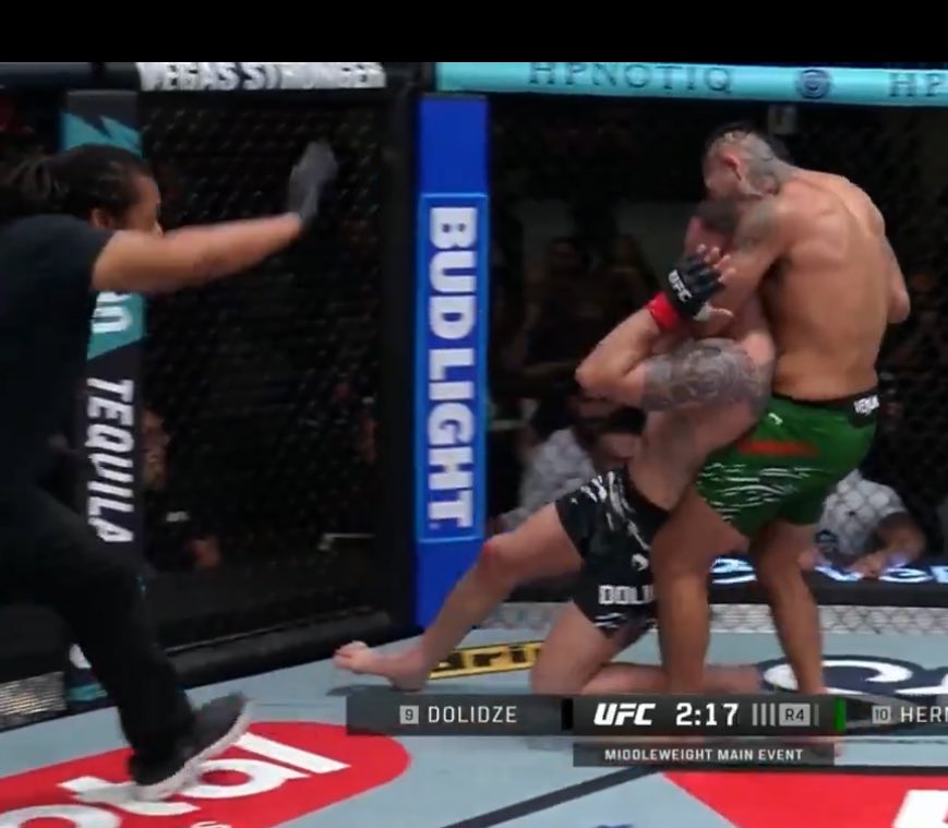 Anthony Hernandez had Herb Dean in prime form lmaooo #UFCVegas109