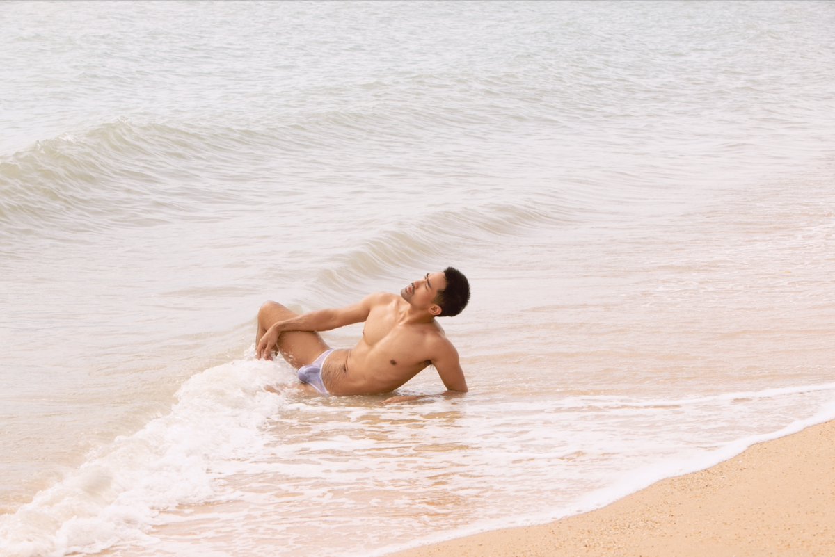 SUNSET BOULEVARD 💛