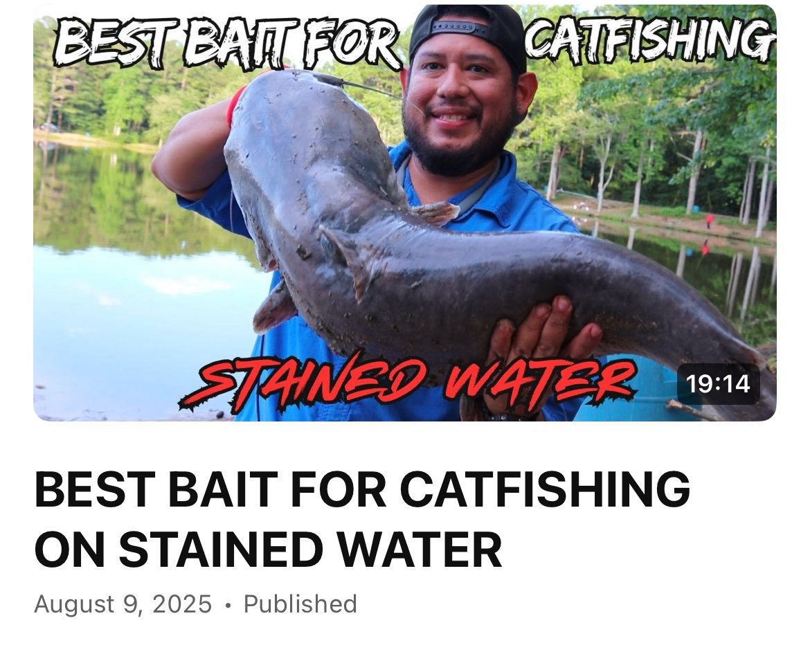 BEST BAIT FOR CATFISHING ON STAINED WATER
youtu.be/DY0uRUUZ9PY