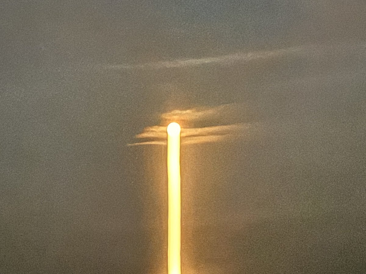 gone in the night tweet media