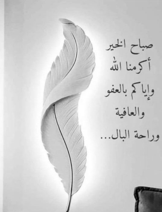 ⌞ ᓚᓢLᓆɡȷ ◜ tweet media