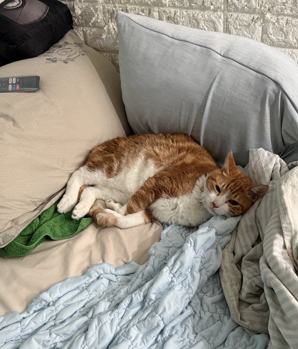 인간아 게임 끝나면 얼른 와야해