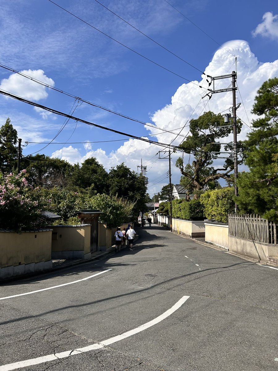 Good Morning Fam 🩵

We move Forward