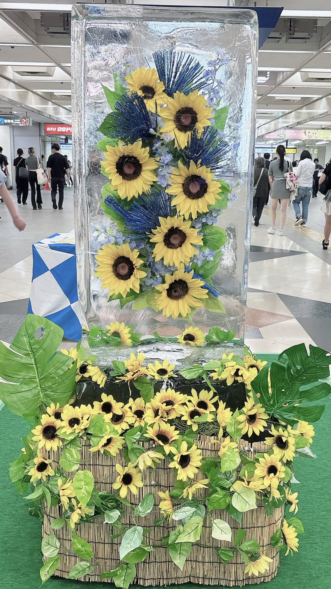kimidoriページ 楽天市場】秋レター 一筆箋594 シルク ポンポン菊柄 89594006