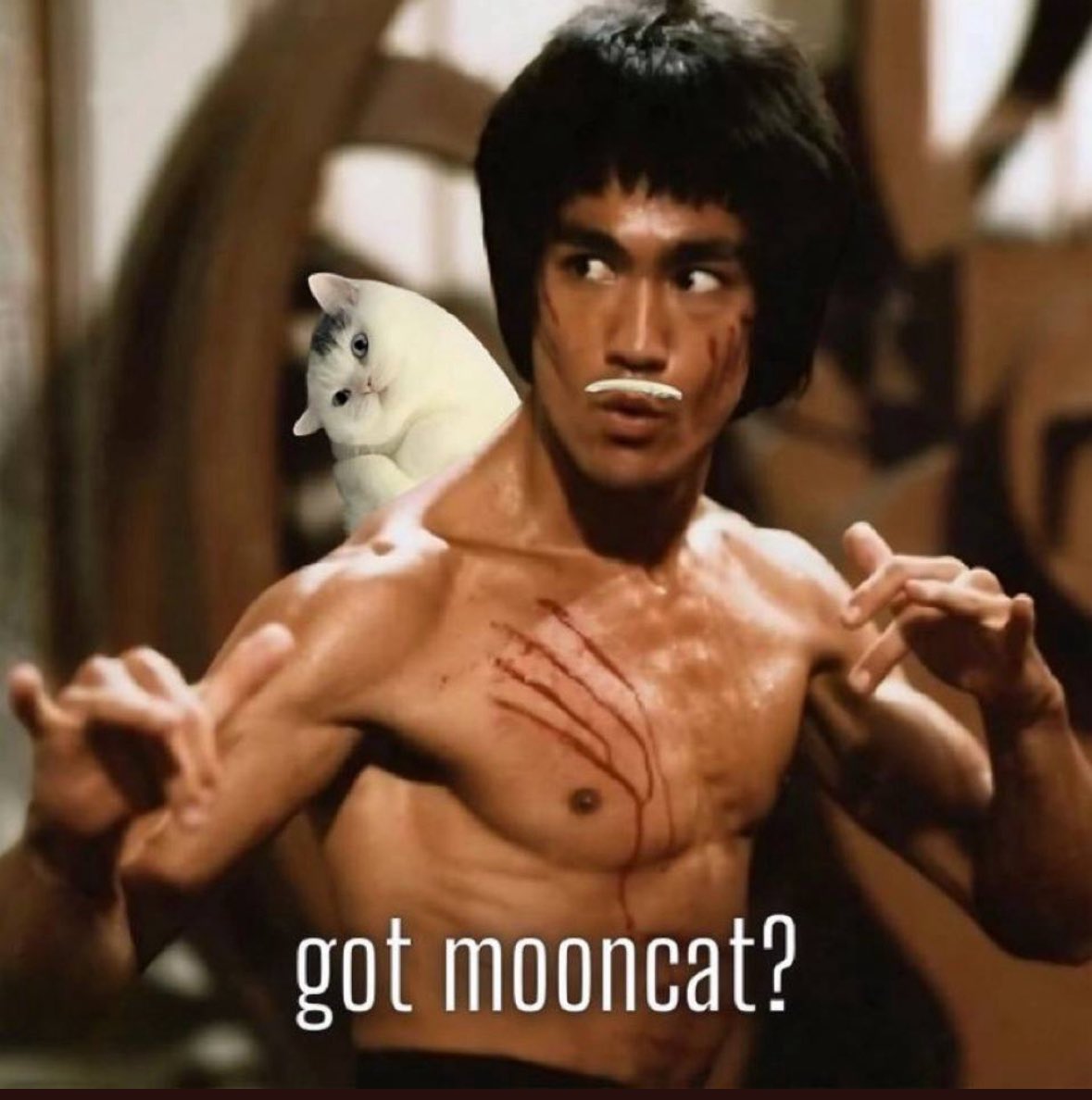 The stache stays on. 🌙🐱