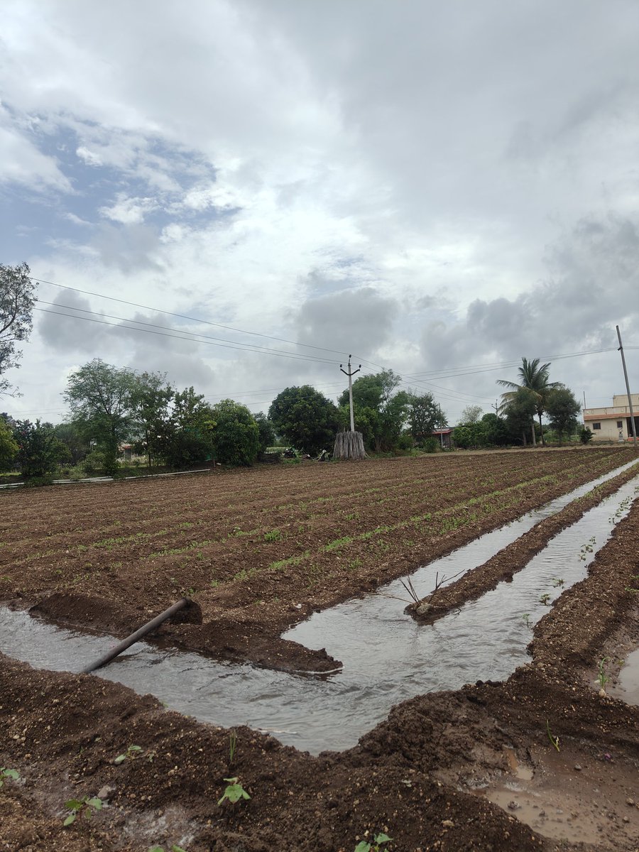 Good Morning Everyone 

May your day grow like a farmers harvest full of patience hard work and rewards