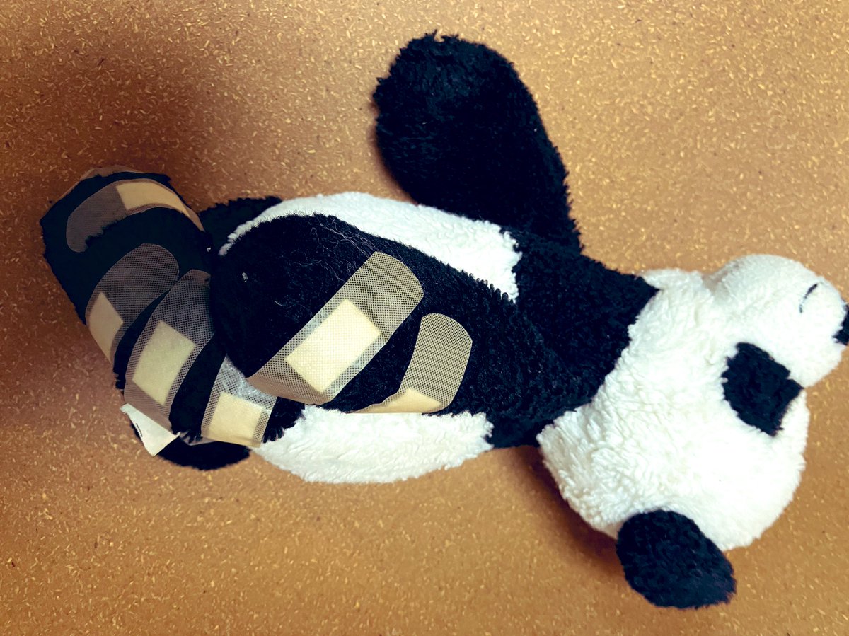 虎えもん 虎えもん🐯 (@toraemon777) / Posts / X