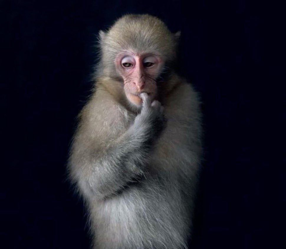 frawgvomit's tweet image. #starving