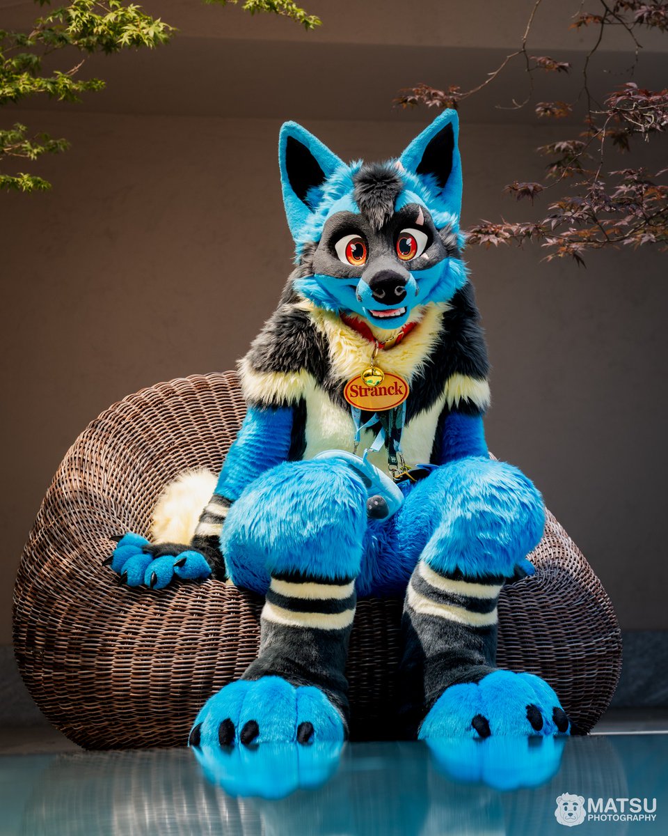 Happy Aura day!! 💙💙
#波導の日 #ルカリオ