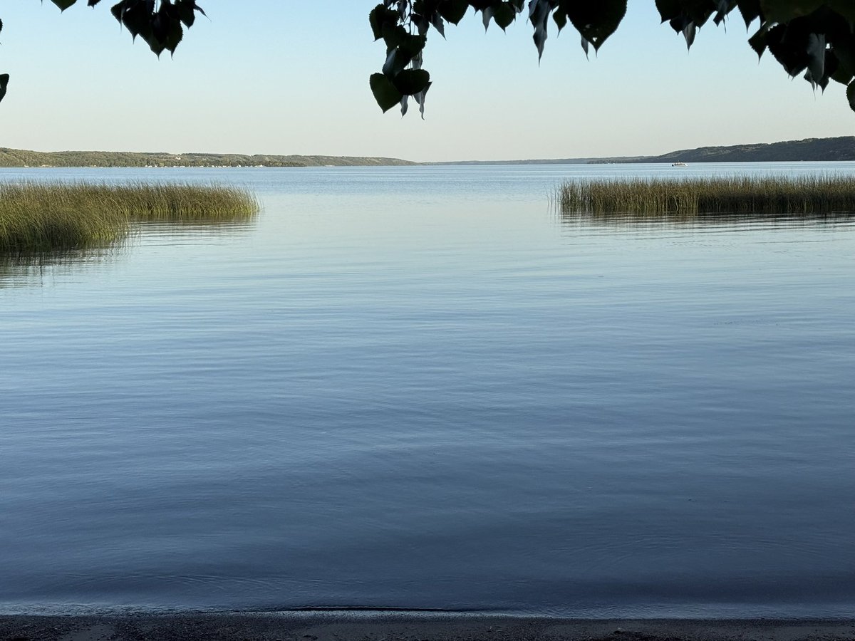 L. Wayne Mathison tweet media