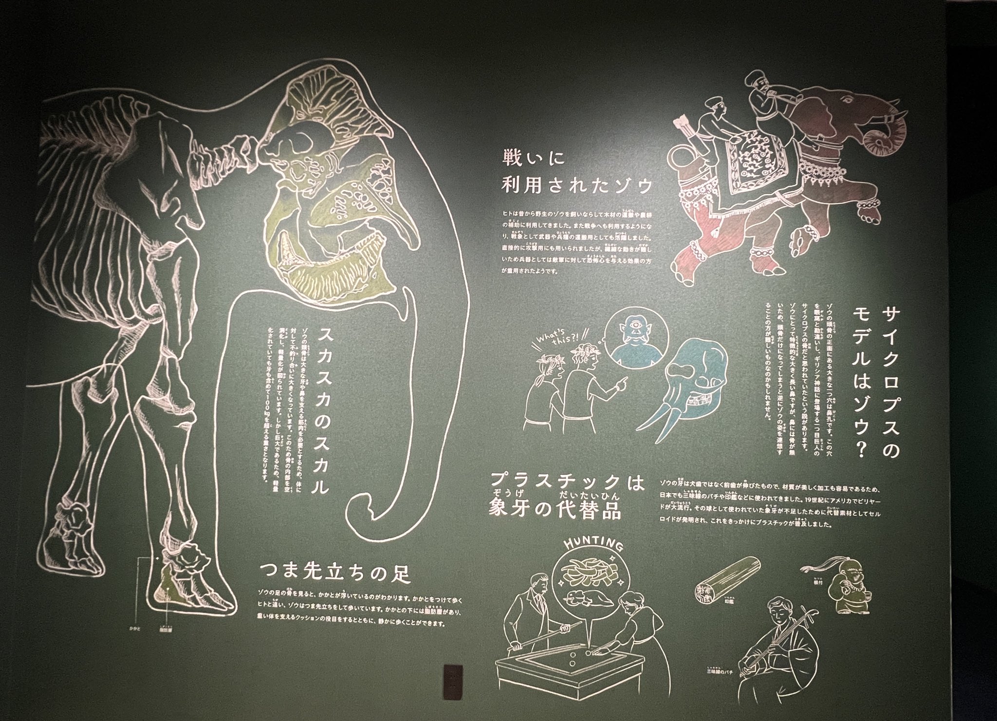 人間と動物 AZONE INTERNATIONAL::えっくす☆きゅーと::商品詳細