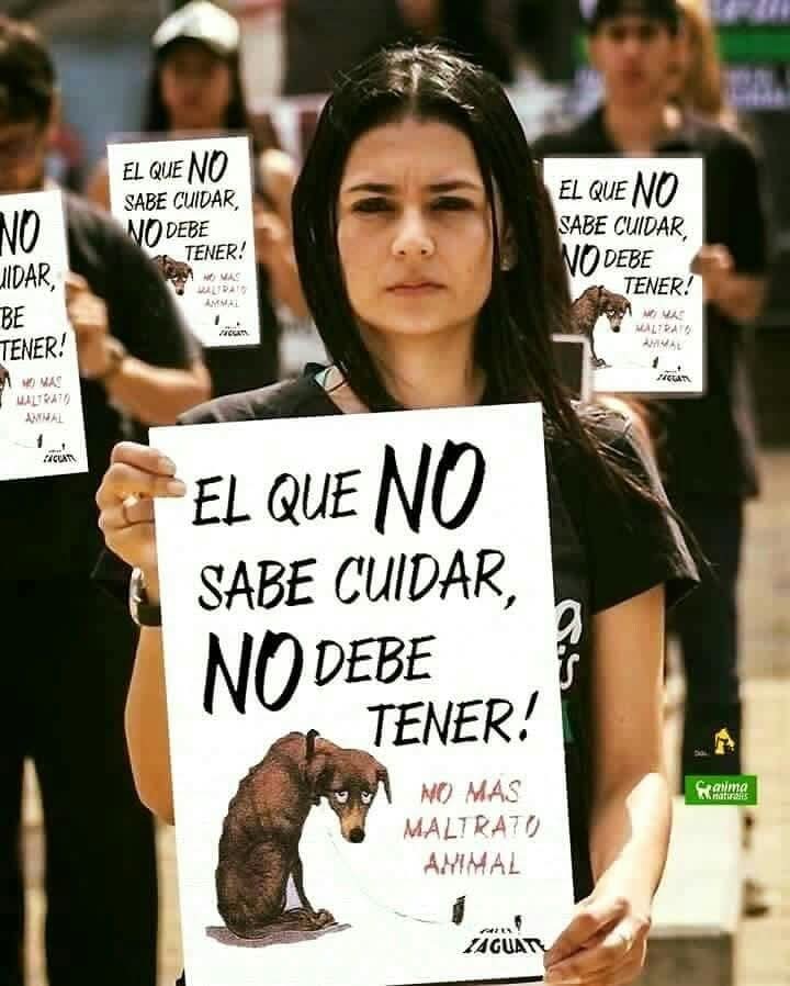 GRamirezF_D12's tweet image. El mensaje es Muy Claro,
Si no lo vas a cuidar como se merece.,
NO LO TENGAS.!. 🎗️