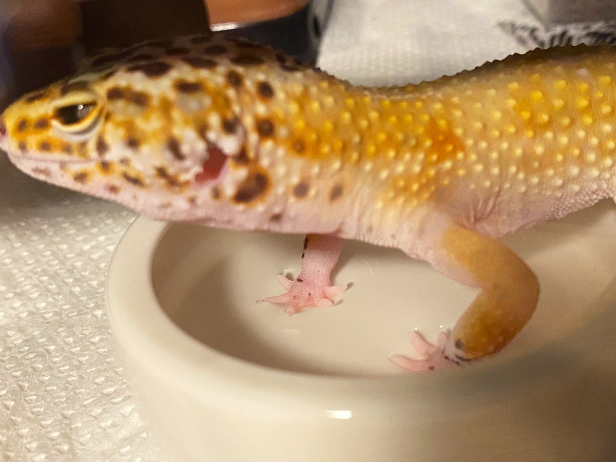 おてての撥水性すっご