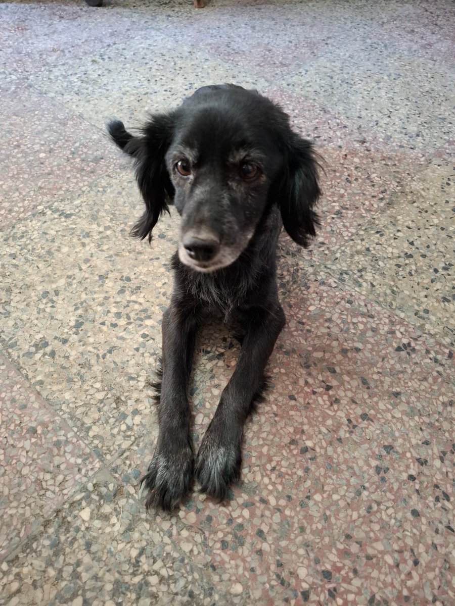 soyclasista tweet media