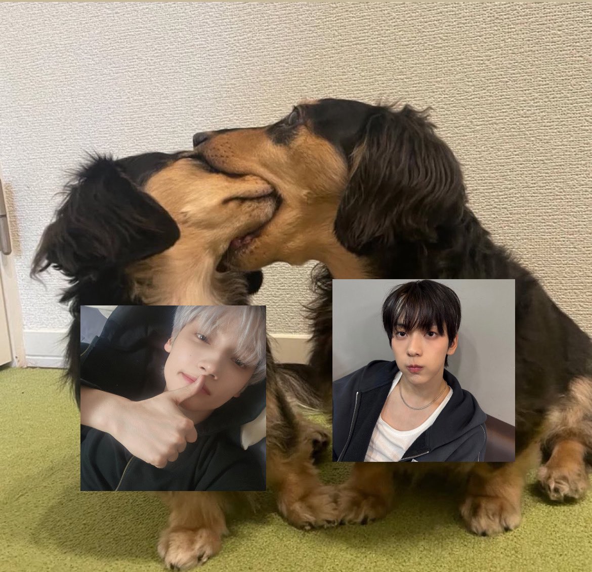 ccsookayo's tweet image.