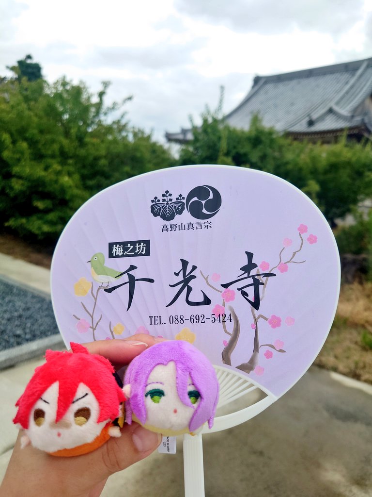 8/10(日) 定休日
お盆経の合同供養のために母方の菩提寺の千光寺さんを訪れました。江戸時代からお世話になっています。
こちらは御本尊が愛染明王、庭の臥竜梅は初代徳島藩主