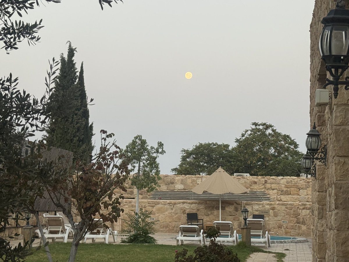 <a href="/PapamihailMaria/">Papamihail_Μichaella 🇬🇷</a> Καλημέρα, καλή Κυριακή🌸☀️☕️