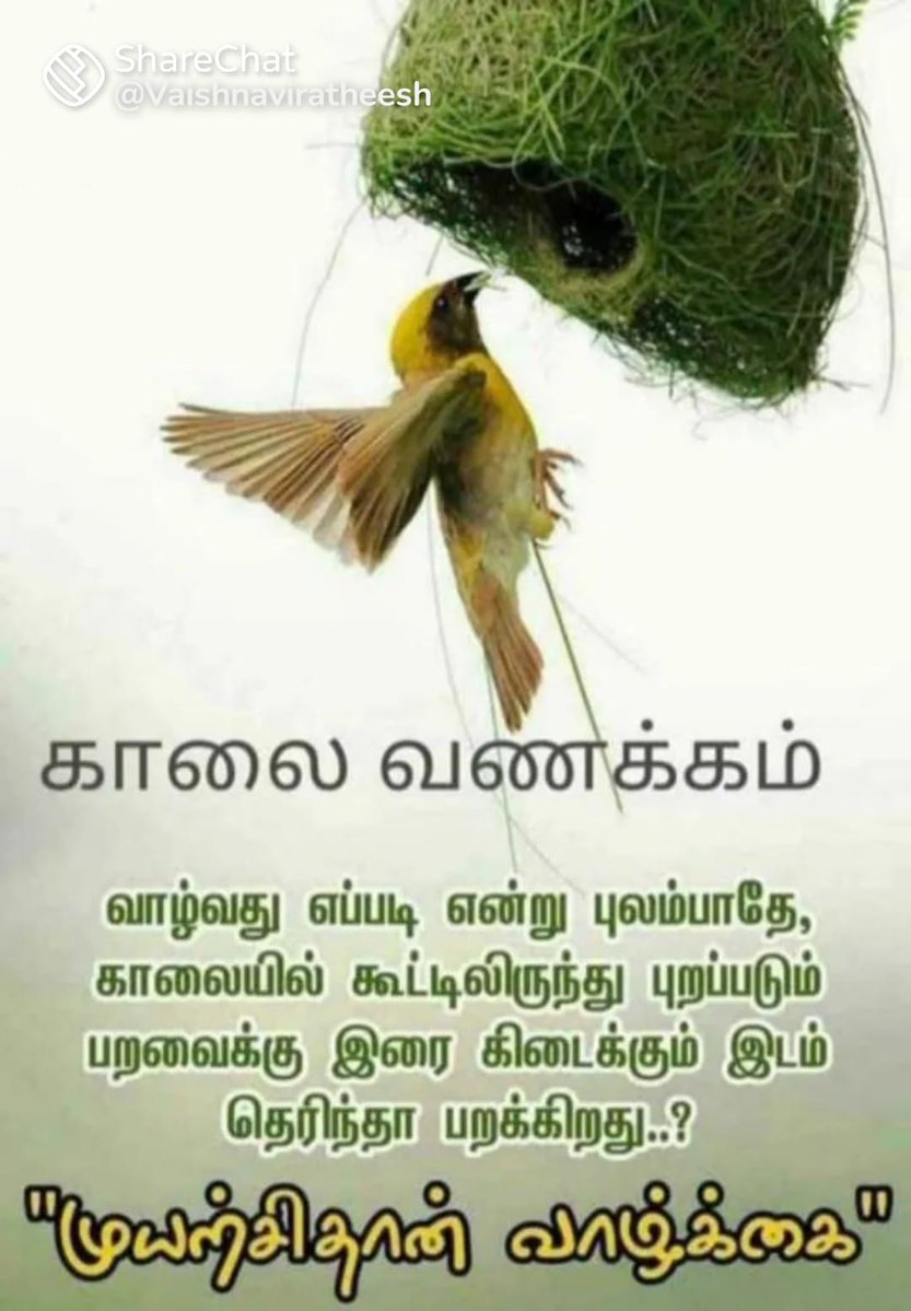 #தமிழ்நாடு Stalin is more Dangerous than Kalaignar (@pugal0405gmail4) on Twitter photo <a href="/ParamasivamRam7/">பரமசிவம் ராமசாமி</a> <a href="/SathJesu/">🇧🇭JS-I.N.D.I.A🇮🇳</a> <a href="/knilangoknilang/">திராவிட தமிழ்நாடு,</a> <a href="/JohnSun33348514/">Sundar</a> <a href="/MAbdullah14372/">Mohammed Abdullah</a> <a href="/porkodichellama/">🌻🪷 பொற்கொடியாள்.</a> <a href="/RKEngineers976/">Rkengineers</a> <a href="/fly2aziz/">AH</a> <a href="/Ksaras219/">சரஸ்வதி குமாரதேவ் - தமிழ்நாடு Saraswathy Kumaradev</a> <a href="/MBKINDIA/">Karthik I.N.D.I.A 🇮🇳</a> <a href="/PChandran49/">Prof.P.Chandrasekaran.</a> <a href="/Lakshma07776875/">Lakshmanan</a> <a href="/SelvabaiJ55505/">Selvabai Jeyaraj</a> <a href="/epawitter1/">Edison Plato M</a> <a href="/kannanrk2008/">Romeo Sharjah</a> <a href="/MadelynJoh58435/">Madelyn Johnson</a> <a href="/Neelavannan_VV/">நயனிகா</a> <a href="/tamilantalks/">🔥தமிழ்ச்செல்வன்🔥</a> <a href="/MurthyK49792741/">Murthy K</a> <a href="/smlt99/">rmn</a> <a href="/AngusamOffl/">அங்குசம்</a> <a href="/Vanjikumar1011/">vanjikumar uns</a> <a href="/DYesuvallaban/">Dr.D.Yesuvallaban</a> <a href="/cankikalin41882/">திருச்சி ஜின்னா 🖤❤️</a> <a href="/ramrobertr89749/">ராம் ராபர்ட் ரஹீம் .... தமிழன்டா!💪🏻</a> <a href="/selvabaijeyaraj/">Selvabai Jeyaraj</a> <a href="/PBalasundaram7/">P.Balasundaram</a> <a href="/Dhakshina23/">K.Dhakshinamoorthy</a> <a href="/grok/">Grok</a> <a href="/GNGDMK13/">கெளதம் NSKகொங்கு 🖤❤ IT profession</a> <a href="/DrAnithaoffl/">Dr. Anitha</a> <a href="/kkdastamil/">நீகா ஆரூர்</a> <a href="/Ethiraj25048473/">🌴🌴மு.எத்திராஜ்.🍀🍀🌺🌺</a> <a href="/giri_praveena/">giri Praveena</a> <a href="/Madrasthambhi/">MadrasThambhi</a> <a href="/magizh_/">Dr.Magizh</a> <a href="/balakumar_20704/">P.C.BALAKUMAR</a> <a href="/34643583Moonson/">🌜💚நிலா மகன் 💚🌛</a> <a href="/RAAJKA120051/">A.ARIVAZHAGAN</a> <a href="/SelvarajuG9/">கோ.செல்வராசு</a> <a href="/Ragavan00893489/">🖤🔥ராவணன் 🔥 🖤</a> <a href="/P_I_Swathi/">🔥🌞பா.இ.சுவாதி🌞🔥</a> <a href="/Radhakrish150/">உங்கள் 150 து</a> <a href="/Palmukilan13415/">Palmukilan</a> <a href="/kangeyan50/">KangeyanD</a> <a href="/MARAIKKADAN1/">MARAIKKADAN</a> <a href="/Aathiraj8585/">ஆதிரன்</a> <a href="/cavi21046624/">சாவி</a> <a href="/Ramakrishnan652/">Ramakrishnan 6 6</a> <a href="/neelavannan_v/">நயனிகா</a> அன்பு காலை வணக்கம் அண்ணா💐💐💐💐மற்றும் அனைவருக்கும்💐💐💐💐 <a href="/ParamasivamRam7/">பரமசிவம் ராமசாமி</a> <a href="/SathJesu/">🇧🇭JS-I.N.D.I.A🇮🇳</a> <a href="/knilangoknilang/">திராவிட தமிழ்நாடு,</a> <a href="/JohnSun33348514/">Sundar</a> <a href="/MAbdullah14372/">Mohammed Abdullah</a> <a href="/porkodichellama/">🌻🪷 பொற்கொடியாள்.</a> <a href="/RKEngineers976/">Rkengineers</a> <a href="/fly2aziz/">AH</a> <a href="/Ksaras219/">சரஸ்வதி குமாரதேவ் - தமிழ்நாடு Saraswathy Kumaradev</a> <a href="/MBKINDIA/">Karthik I.N.D.I.A 🇮🇳</a> <a href="/PChandran49/">Prof.P.Chandrasekaran.</a> <a href="/Lakshma07776875/">Lakshmanan</a> <a href="/SelvabaiJ55505/">Selvabai Jeyaraj</a> <a href="/epawitter1/">Edison Plato M</a> <a href="/kannanrk2008/">Romeo Sharjah</a> <a href="/MadelynJoh58435/">Madelyn Johnson</a> <a href="/Neelavannan_VV/">நயனிகா</a> <a href="/tamilantalks/">🔥தமிழ்ச்செல்வன்🔥</a> <a href="/MurthyK49792741/">Murthy K</a> <a href="/smlt99/">rmn</a> <a href="/AngusamOffl/">அங்குசம்</a> <a href="/Vanjikumar1011/">vanjikumar uns</a> <a href="/DYesuvallaban/">Dr.D.Yesuvallaban</a> <a href="/cankikalin41882/">திருச்சி ஜின்னா 🖤❤️</a> <a href="/ramrobertr89749/">ராம் ராபர்ட் ரஹீம் .... தமிழன்டா!💪🏻</a> <a href="/selvabaijeyaraj/">Selvabai Jeyaraj</a> <a href="/PBalasundaram7/">P.Balasundaram</a> <a href="/Dhakshina23/">K.Dhakshinamoorthy</a> <a href="/grok/">Grok</a> <a href="/GNGDMK13/">கெளதம் NSKகொங்கு 🖤❤ IT profession</a> <a href="/DrAnithaoffl/">Dr. Anitha</a> <a href="/kkdastamil/">நீகா ஆரூர்</a> <a href="/Ethiraj25048473/">🌴🌴மு.எத்திராஜ்.🍀🍀🌺🌺</a> <a href="/giri_praveena/">giri Praveena</a> <a href="/Madrasthambhi/">MadrasThambhi</a> <a href="/magizh_/">Dr.Magizh</a> <a href="/balakumar_20704/">P.C.BALAKUMAR</a> <a href="/34643583Moonson/">🌜💚நிலா மகன் 💚🌛</a> <a href="/RAAJKA120051/">A.ARIVAZHAGAN</a> <a href="/SelvarajuG9/">கோ.செல்வராசு</a> <a href="/Ragavan00893489/">🖤🔥ராவணன் 🔥 🖤</a> <a href="/P_I_Swathi/">🔥🌞பா.இ.சுவாதி🌞🔥</a> <a href="/Radhakrish150/">உங்கள் 150 து</a> <a href="/Palmukilan13415/">Palmukilan</a> <a href="/kangeyan50/">KangeyanD</a> <a href="/MARAIKKADAN1/">MARAIKKADAN</a> <a href="/Aathiraj8585/">ஆதிரன்</a> <a href="/cavi21046624/">சாவி</a> <a href="/Ramakrishnan652/">Ramakrishnan 6 6</a> <a href="/neelavannan_v/">நயனிகா</a> அன்பு காலை வணக்கம் அண்ணா💐💐💐💐மற்றும் அனைவருக்கும்💐💐💐💐