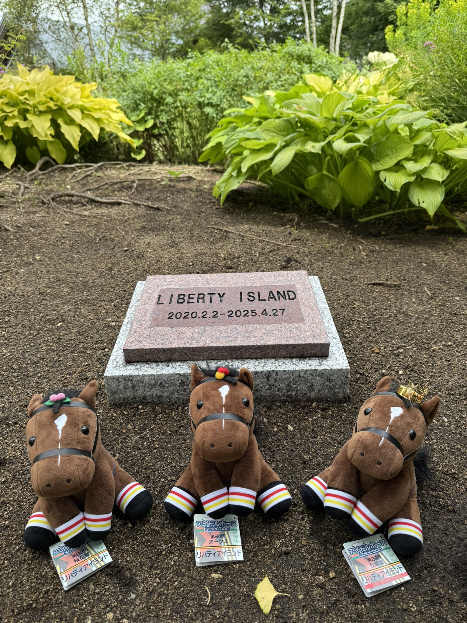リバティアイランド セット リバティアイランド - 競馬グッズの