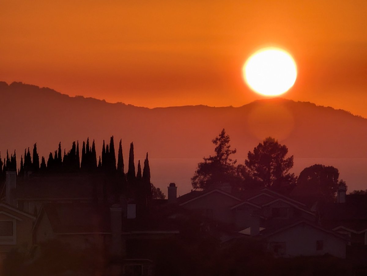 DALNK ʕ •ᴥ•ʔつ━☆ (@dalnktech) on Twitter photo 