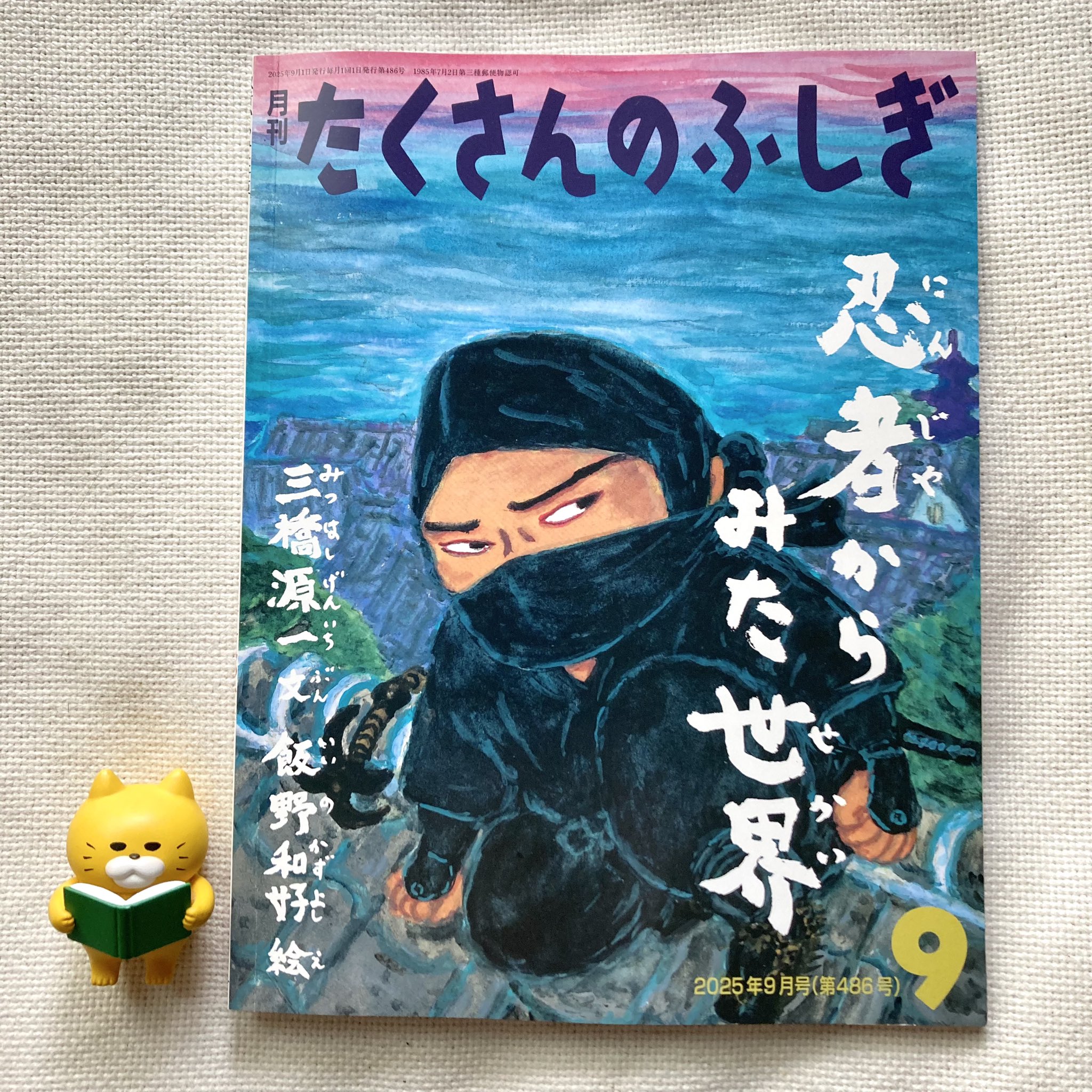たくさんのふしぎ 福音館書店 12冊セット まとめ売り 福音館書店 たくさんのふしぎ 3冊セット - メルカリ