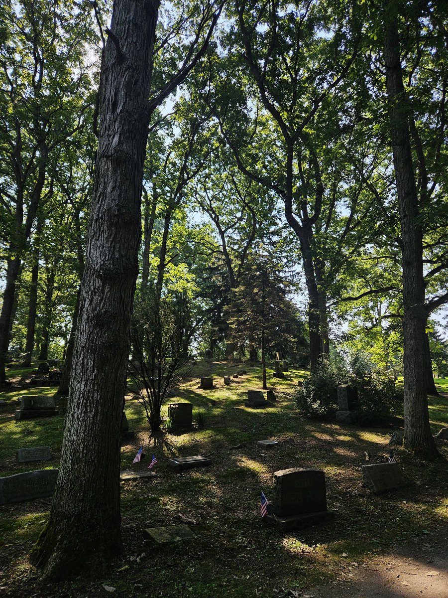 Merlox's tweet image. pretty pictures I took