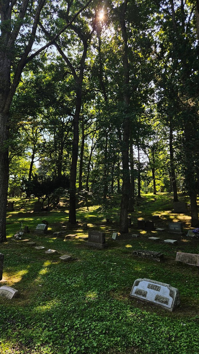 Merlox's tweet image. pretty pictures I took