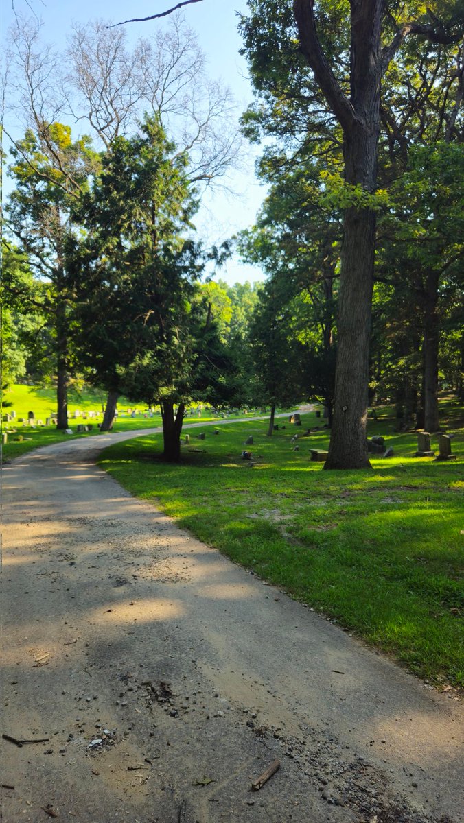 Merlox's tweet image. pretty pictures I took