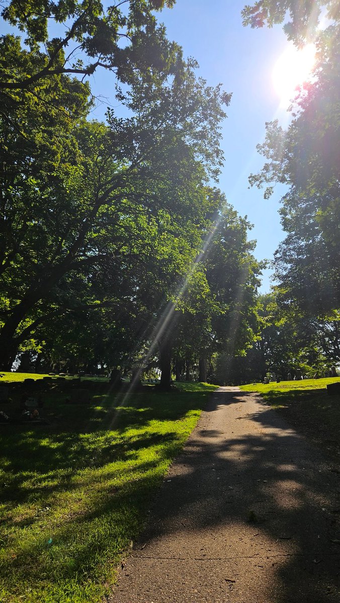 Merlox's tweet image. pretty pictures I took