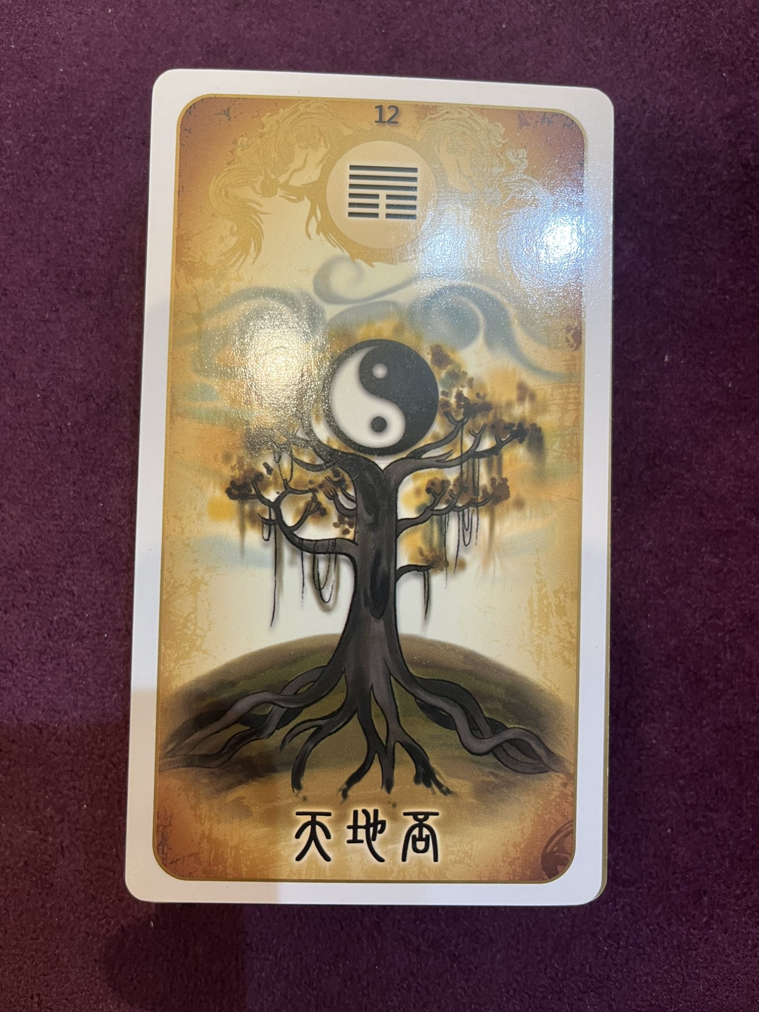 rumi/60分占い放題✤手相鑑定✤姓名判断✤数秘術✤ 平野 未旺🌙占い鑑定師 (@Miou8Yahisa) / X