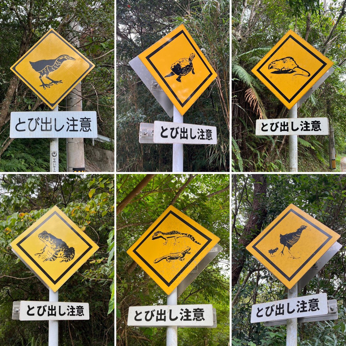 浜松市西区 ２０１９０７/ゼンリン（大型本） 浜松市西区 201907/ゼンリン（大型本） 浜松市西区 201907