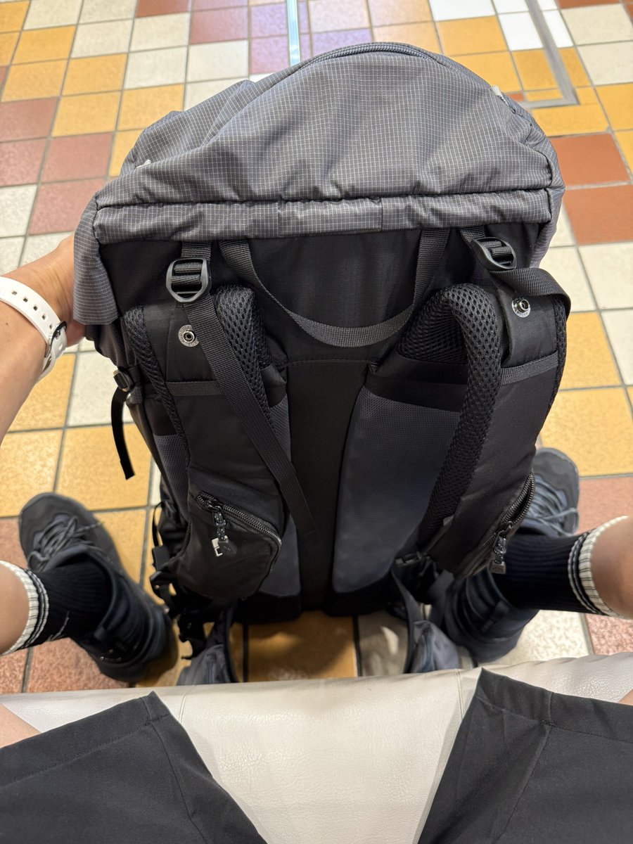 やばい、荷物重すぎて肩痛いし、頭痛くなってきた。リュック辛い。全部置いていこうかなってくらい辛いなにこれ。秋田駅⇨由利本荘行けるんかこんなんで。