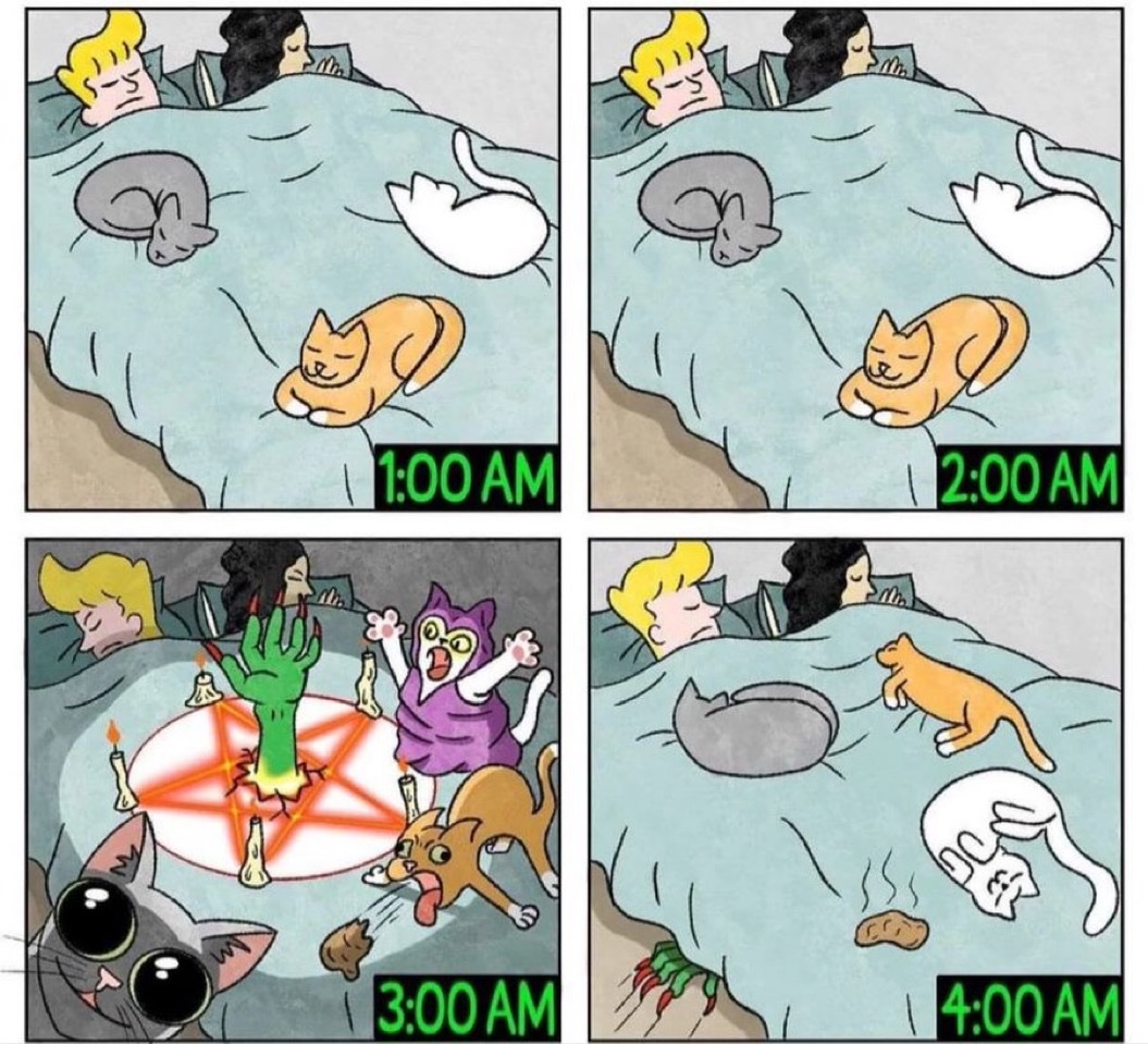 sleeping with cats be like...