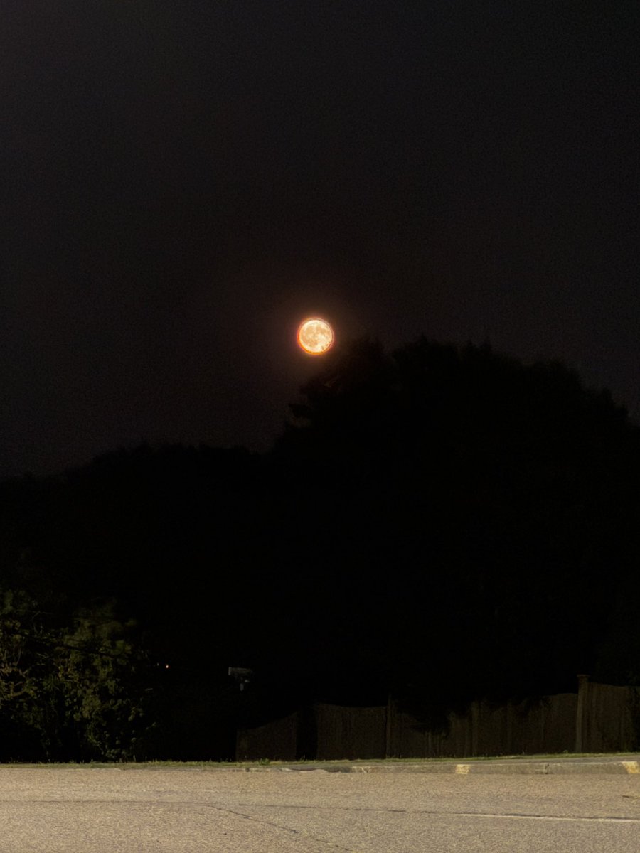 happy full moon 🌕