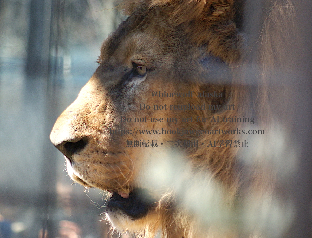 オーウェル評論集全4冊 像を撃つ/水晶の精神/ライオンと一角獣/鯨の腹のなかで Amazon.co.jp: オーウェル評論集 3 新装版 (平凡社ライブラリー