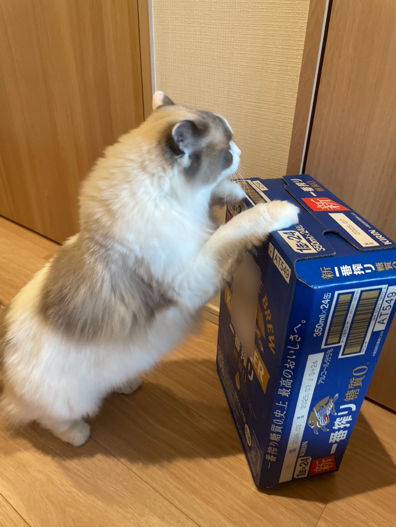 ムーちゃん様 100話突破記念！】『悪魔のメムメムちゃん』キャラクター人気