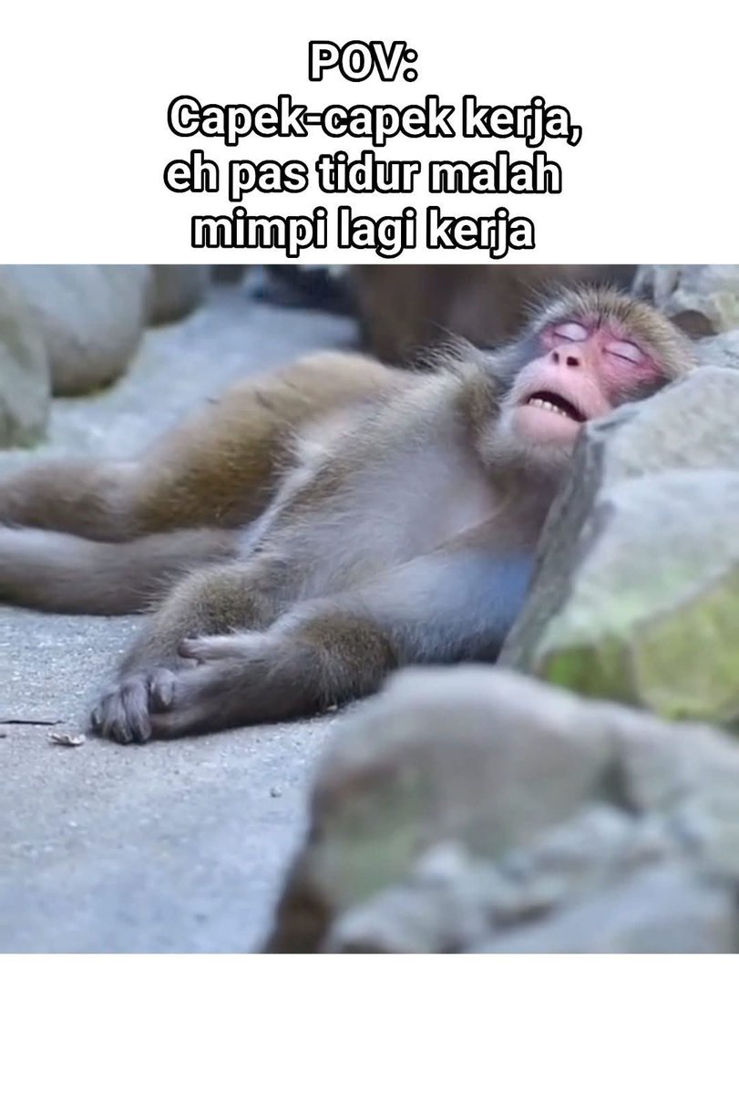 Aku jg gitu bang.. "Lagi sakit pengen tidur, pas tidur malah mimpi lagi sakit". 😭
Selamat berhari minggu, sehat selalu buat semuanya..🙏