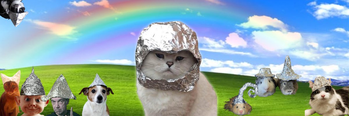 oracreator's tweet image. Only the shiny shall prosper.

$TinFoil

FtAXbmsB2UYEKHhSUw6RBbSSfvAiYVLB2C5tS5tPpump