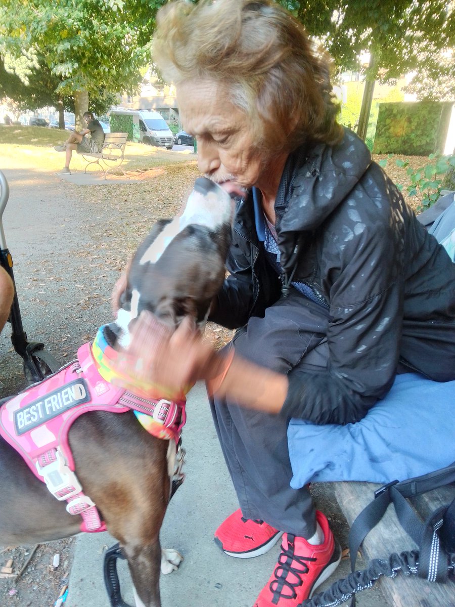 LebrockTony's tweet image. Sat 🌄🐕🏞️⌛ Snugs 🥰 Hugs 
💙🐾💙💙😎👑🫰💙💙🐾💙
#togetheras1 #pittiesaregreat #friendshipday2025 #staffies
#saturdayfun #friends #doggi
#poochieslove #furbaby #piti
#afternoondelight #dogfriend
#MadamRiley #bestfriends